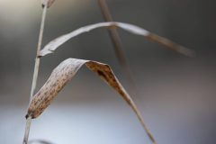 6K9A3605-Enhanced-NR-2-scaled